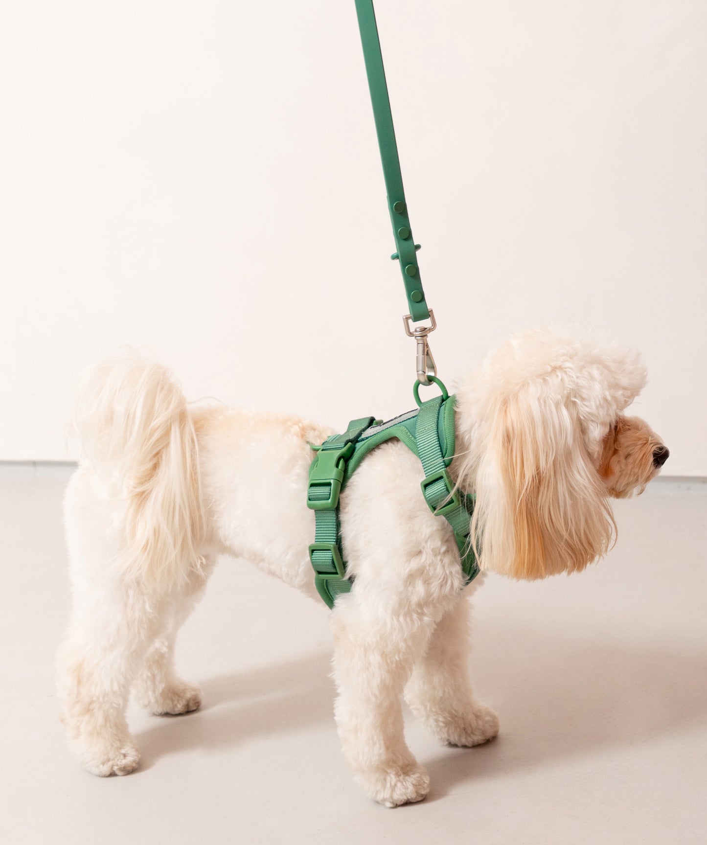 Smart Dog Leash - Green