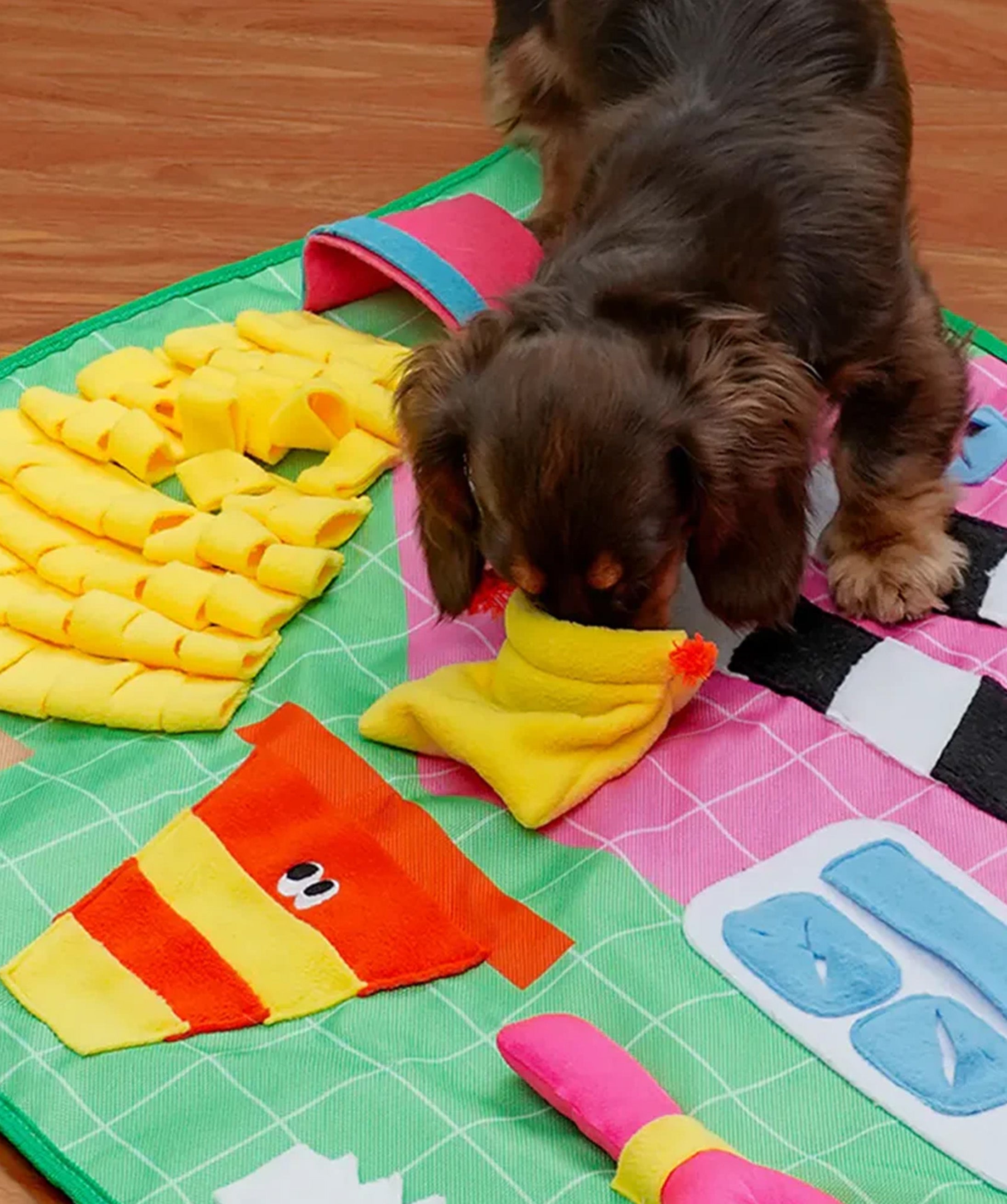 Sniff and Play