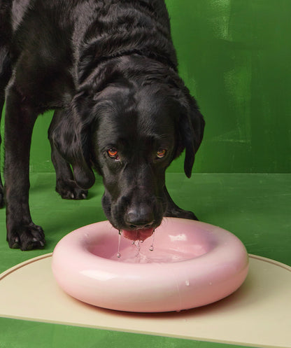 Ceramic Bowl - Pink