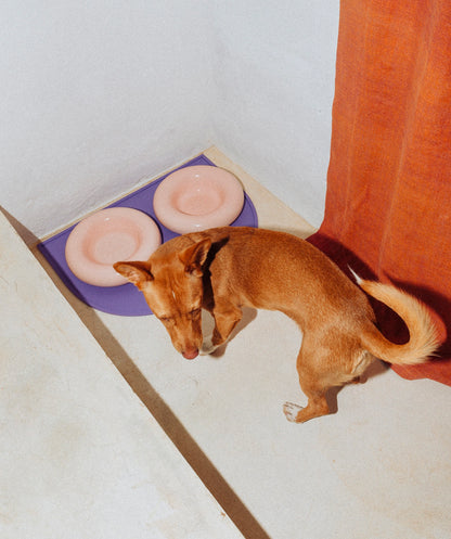 Ceramic Bowl - Pink