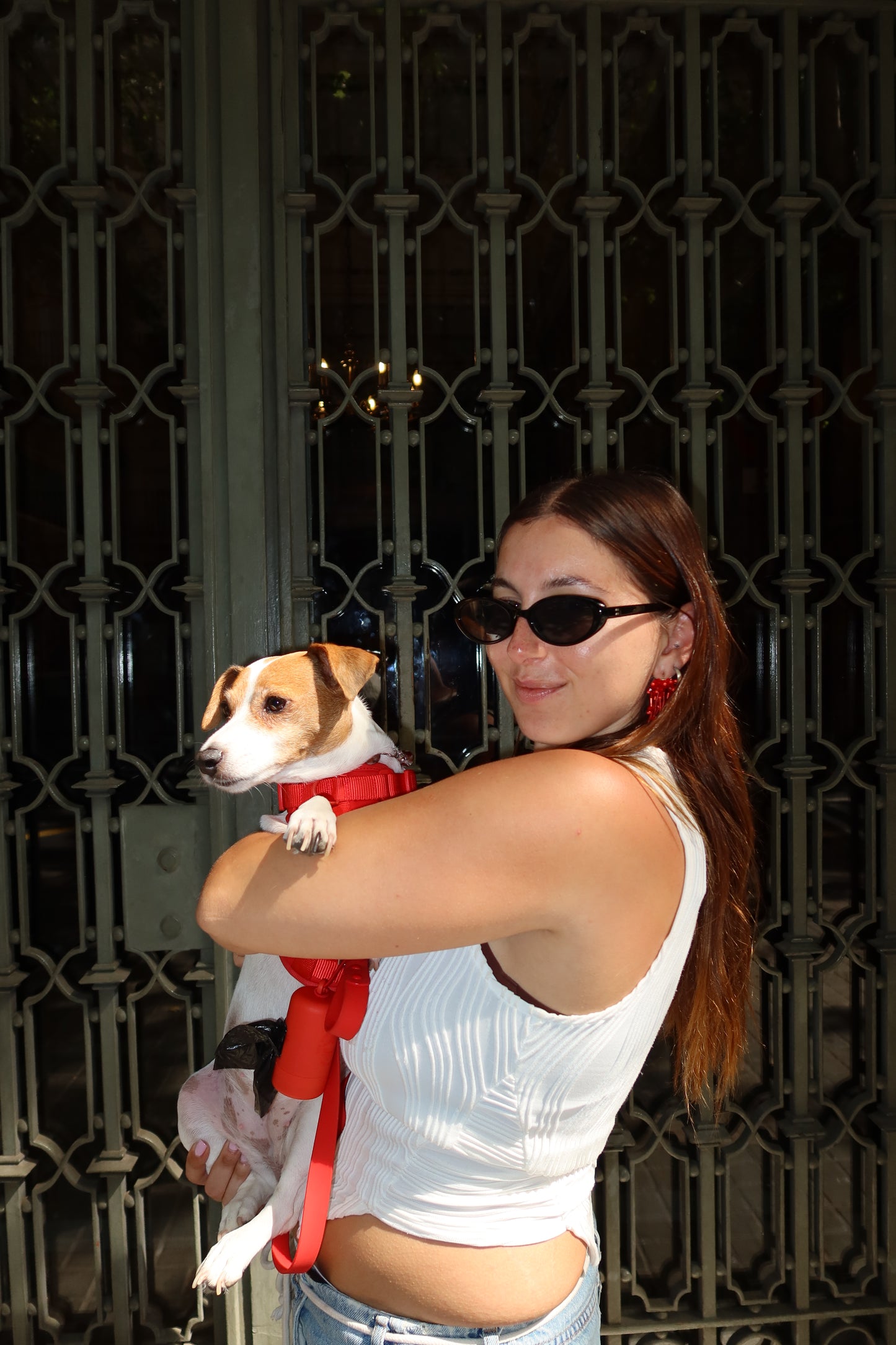 Smart Harness