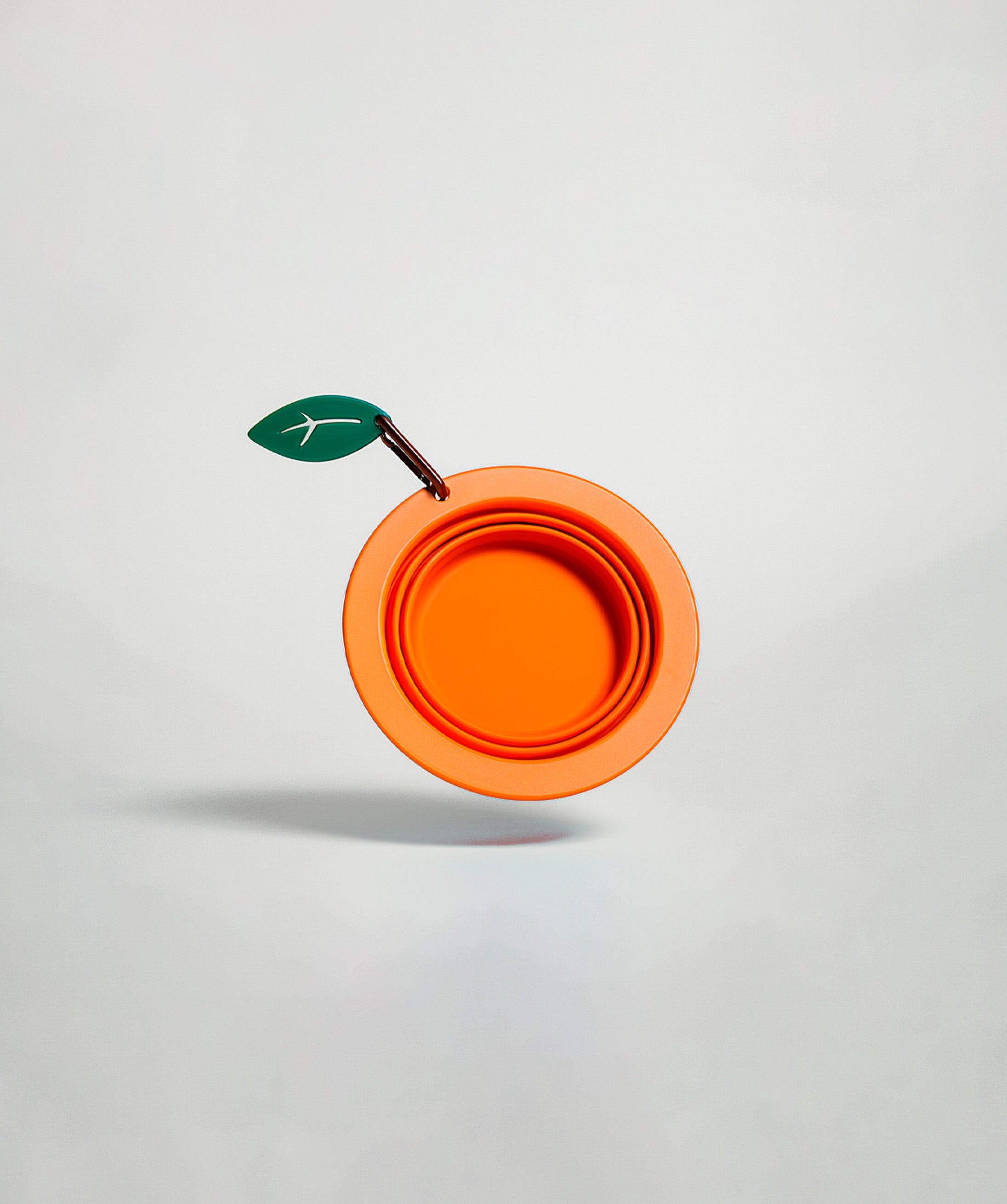 Collapsible Silicone  Bowl