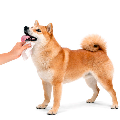 Pet Wipes - Lavender