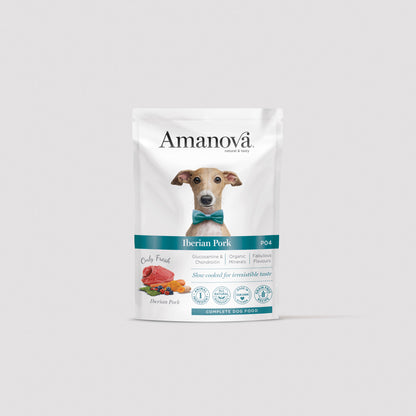 P04 Adult Dog