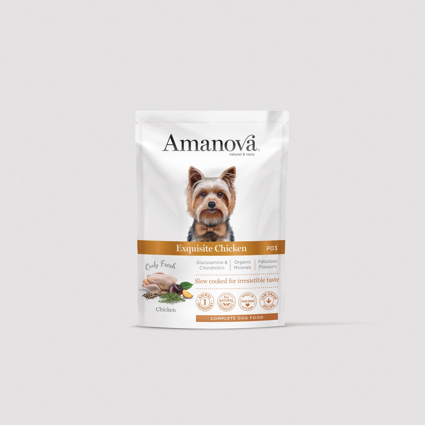 P03 Adult Dog