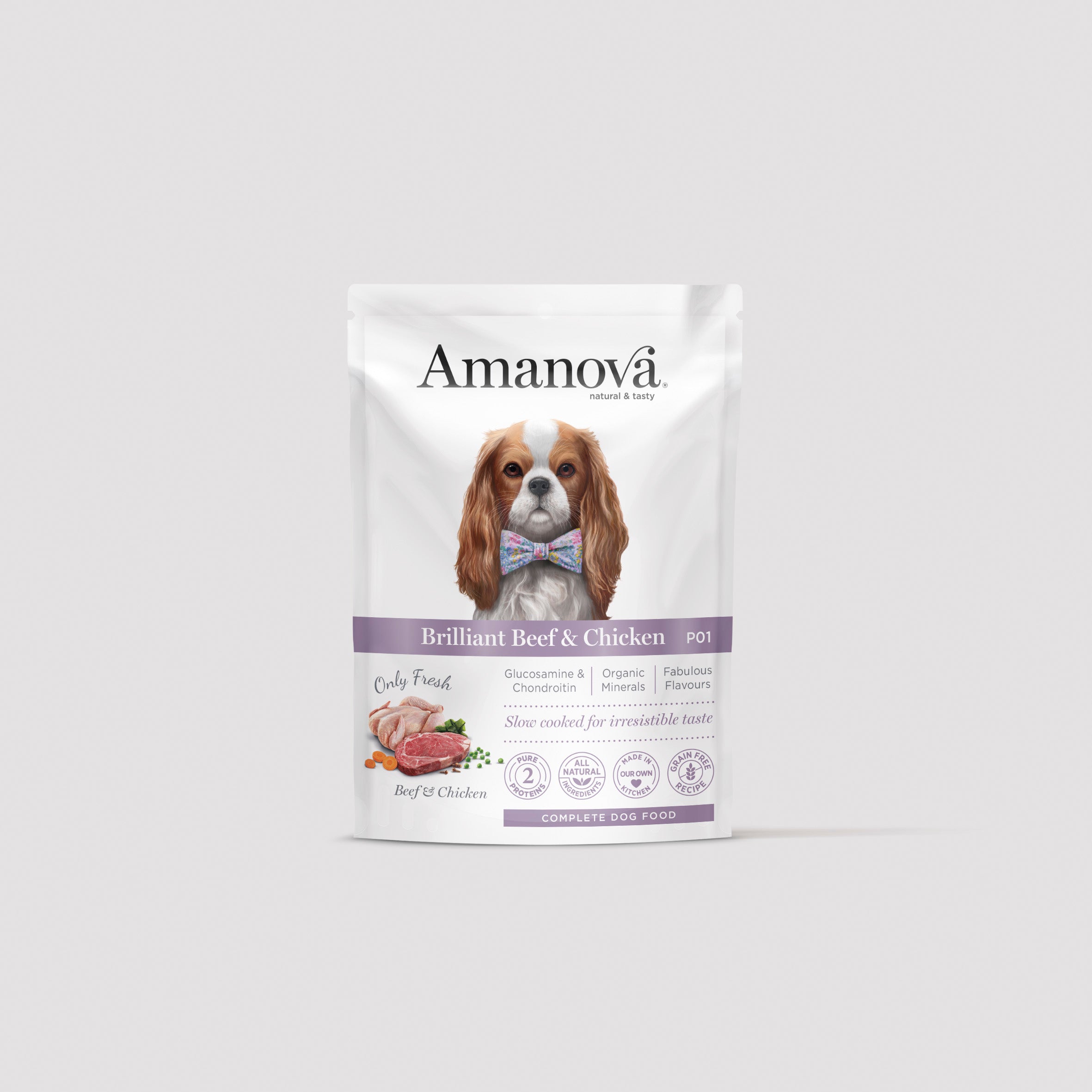P01 Adult Dog
