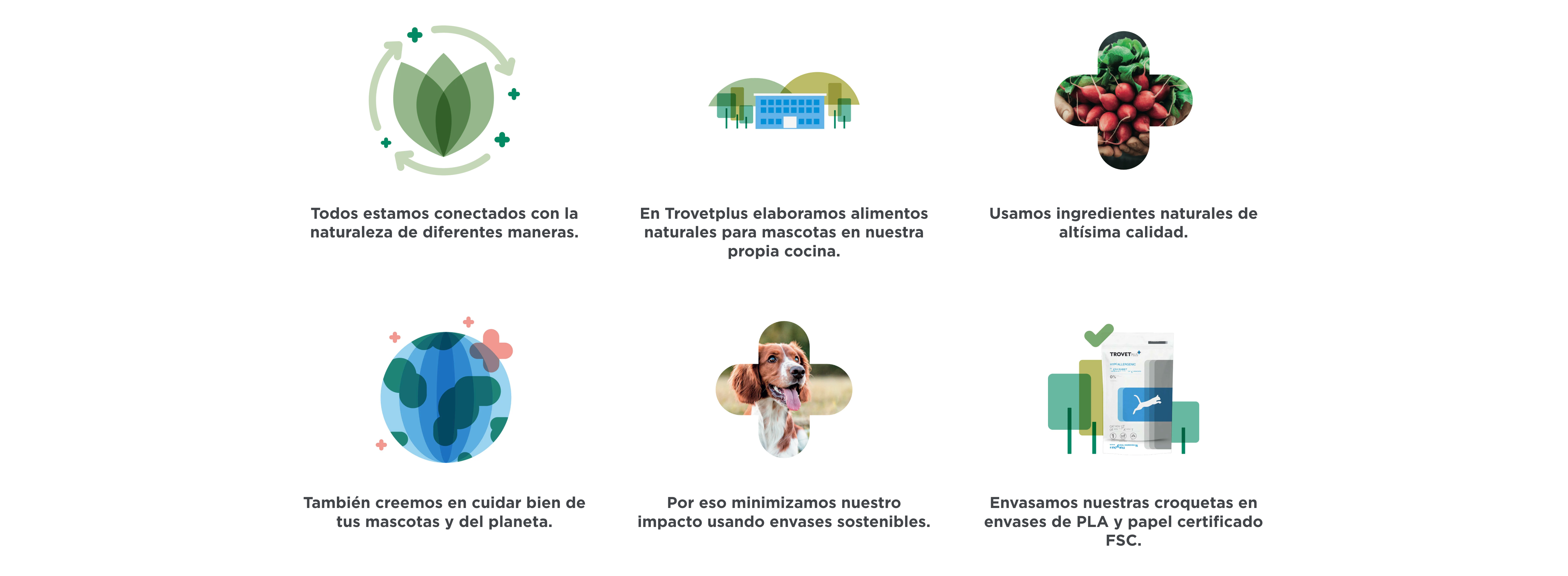 image-banner