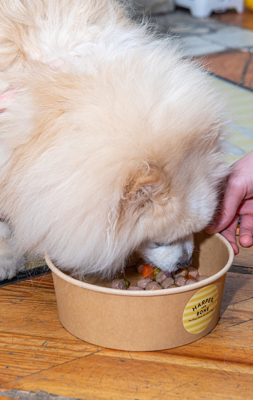 Meatballs for Dogs - Flavours of the Farm