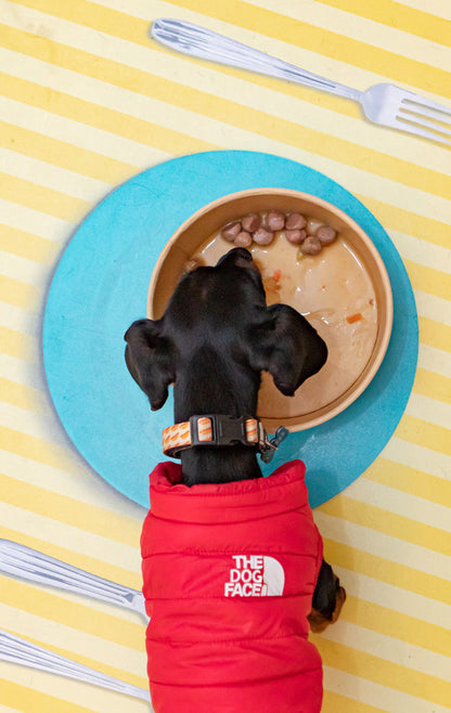 Meatballs for Dogs - Flavours of the Farm