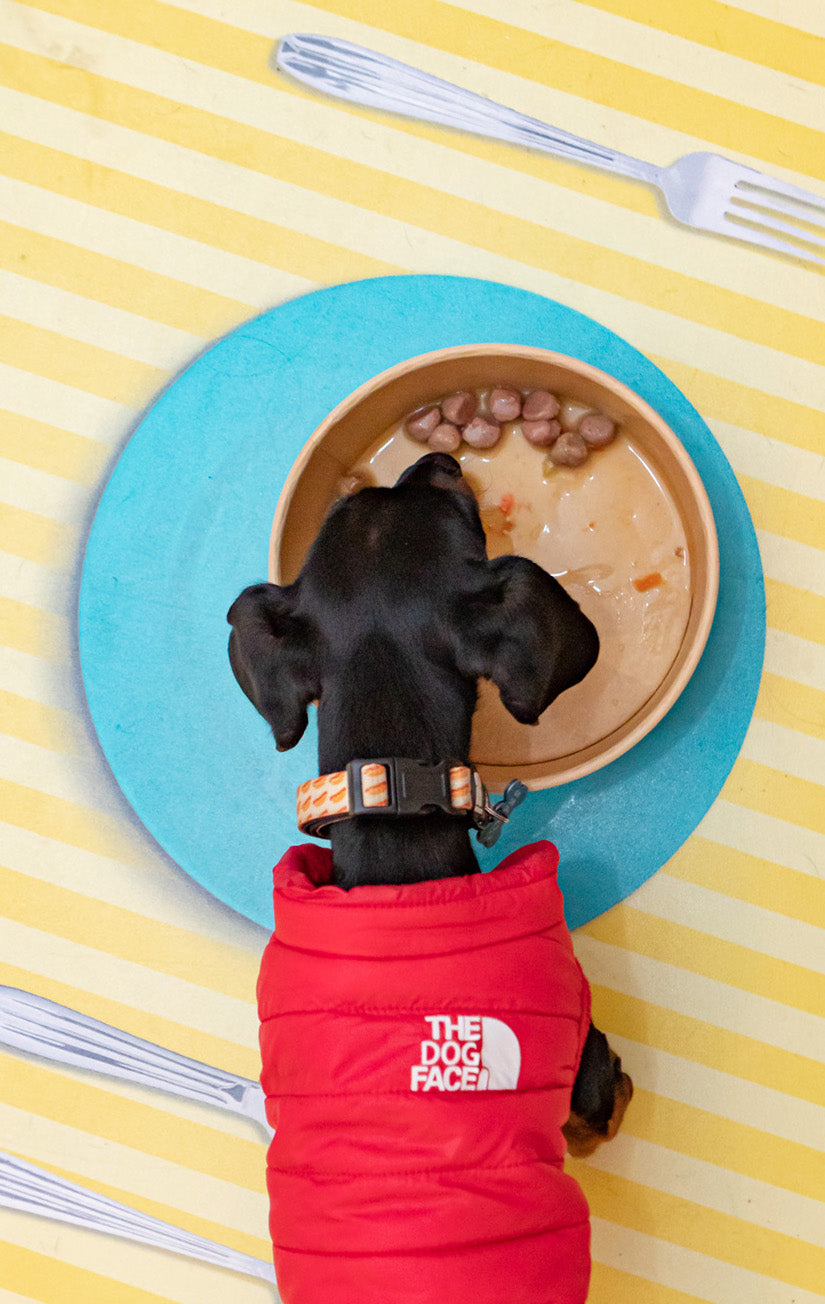 Meatballs for Dogs - Ocean Wonders