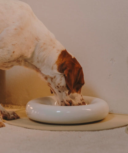 Ceramic Bowl - White
