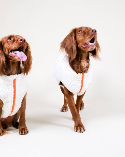 Cream Sherpa Fleece Dog Vest - Gilet