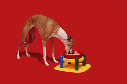 Chroma Ceramic Pet Bowl & Mat Set - gamelle