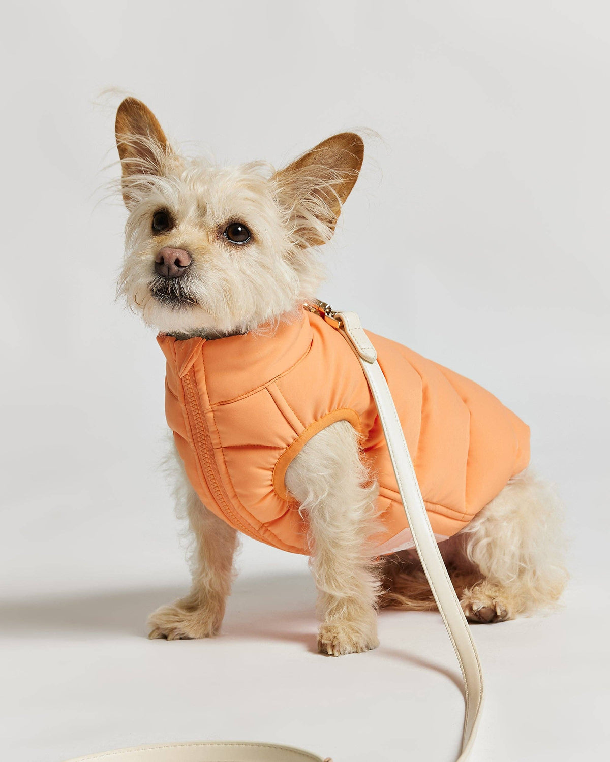 Reversible Dog Puffer Jacket: Coral & Khaki Green - Manteau