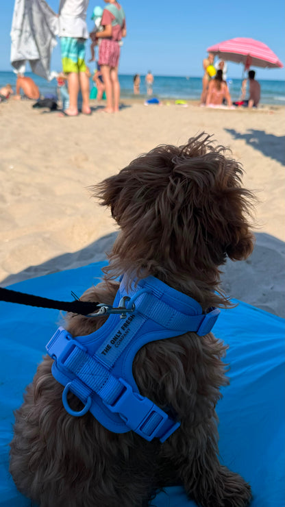 Smart Harness - Blu