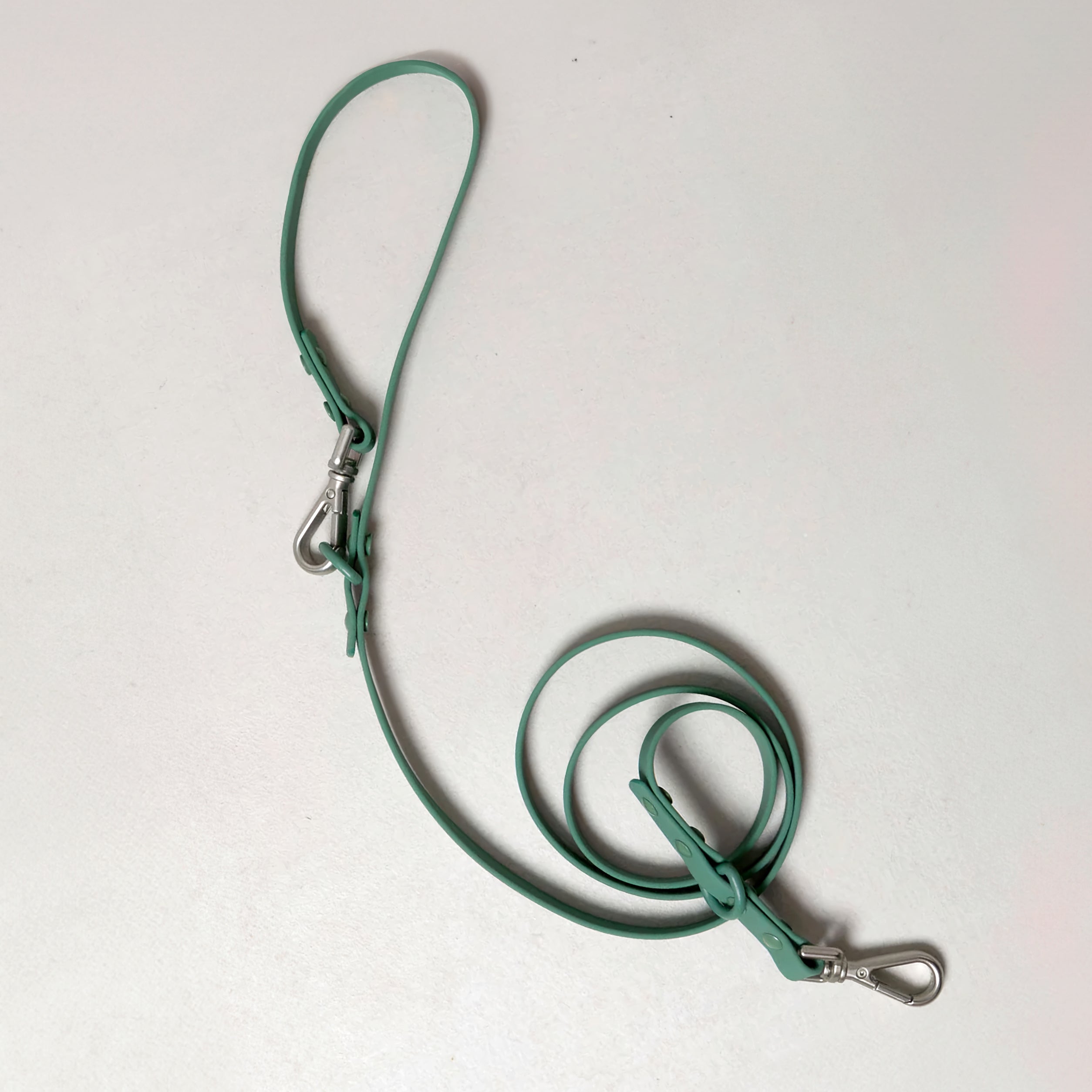 Smart Dog Leash - Green