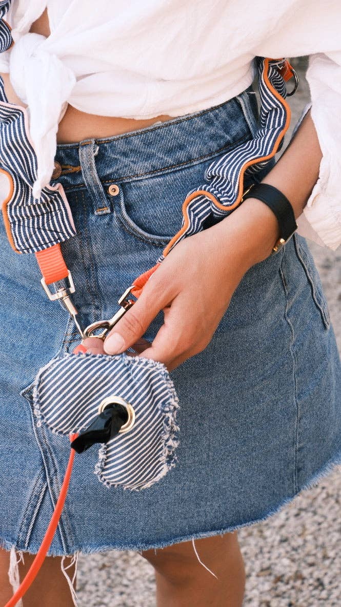 Blue striped leash - smycz