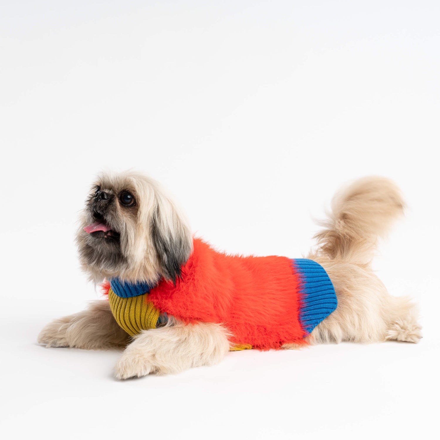 Faux Fur Dog Sweater Poppy