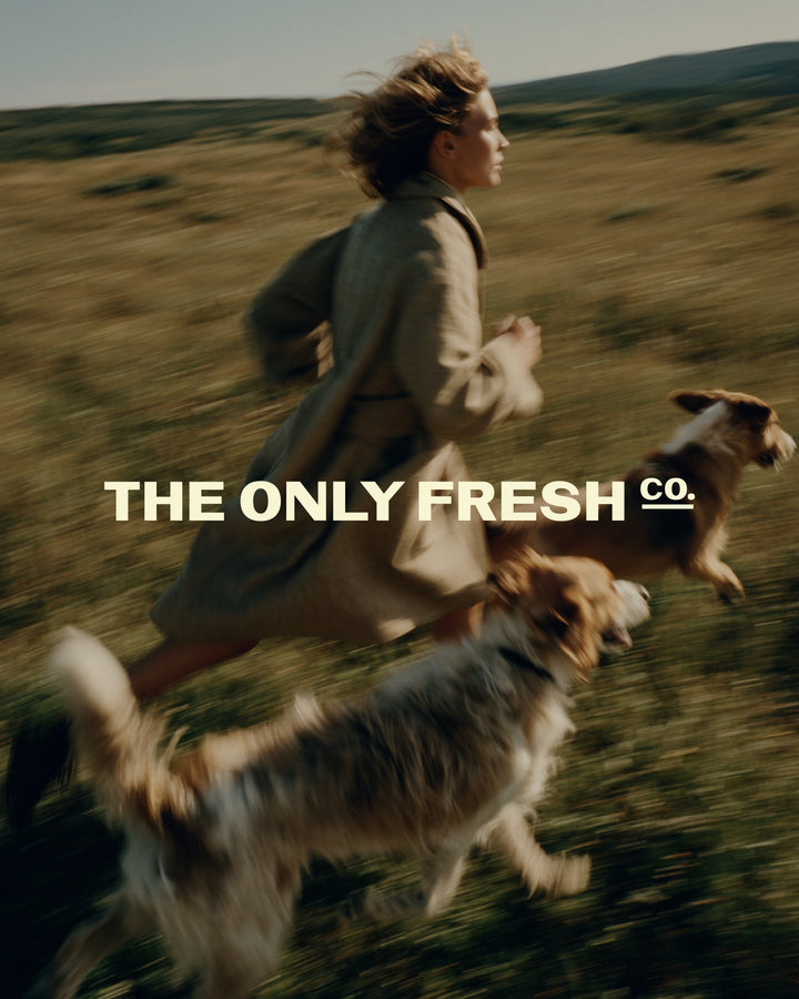 Freedom begins with feeling good 🧡At The Only Fresh Company, we create fresh, thoughtful recipes to support dogs in e...