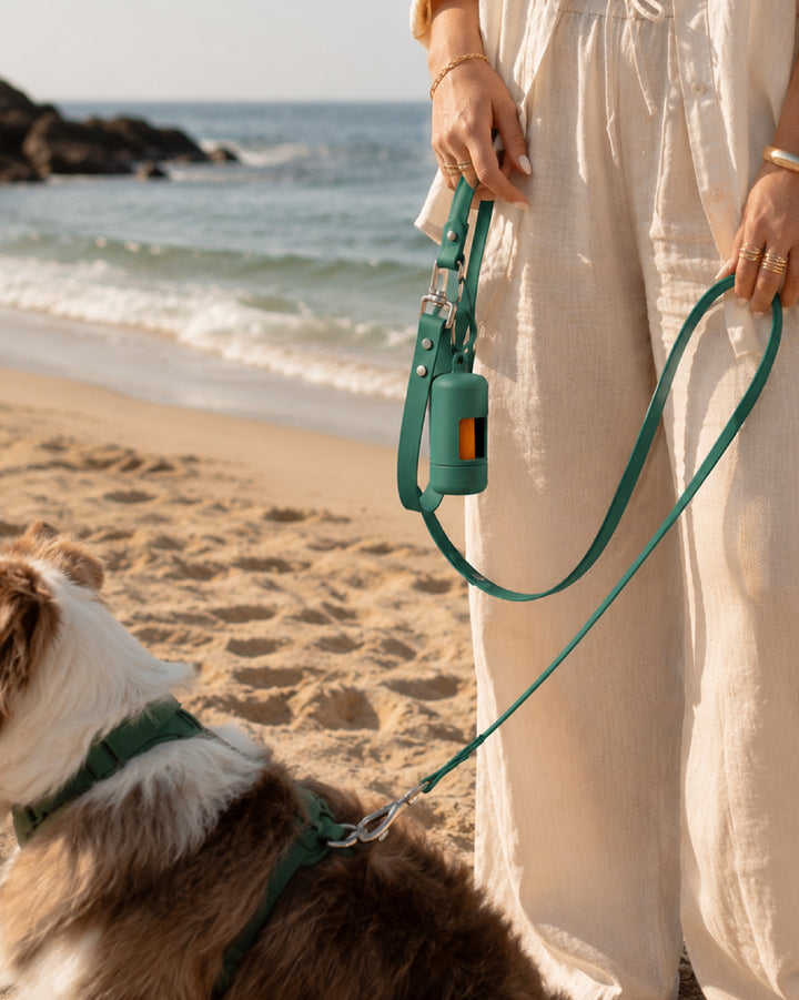 From sandy beaches to city streets, some things are meant to go everywhere with you 🌞 Your favorite leash. Your favor...