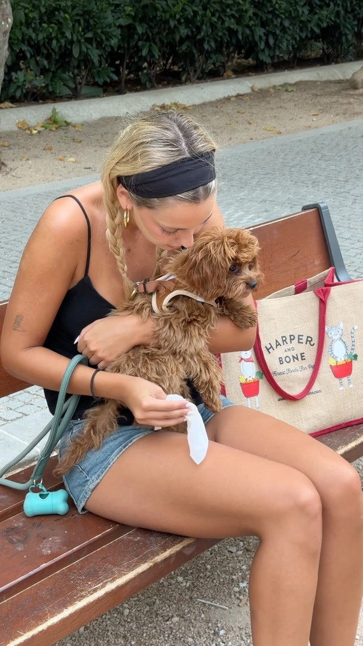 Clean paws, clean moments🧡The Only Fresh Pet Wipes  are simple, practical, and always ready for whatever the day brin...