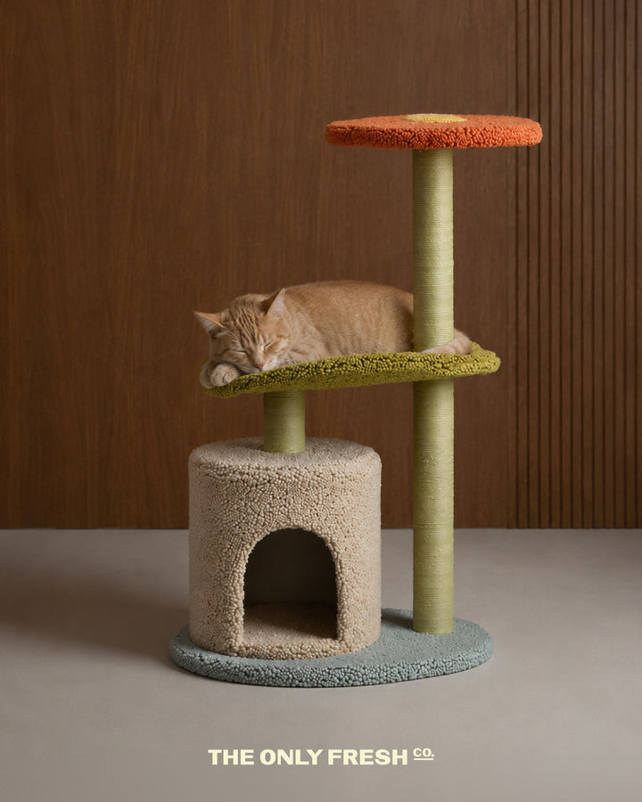 Visualize it.This corner of your home.Your cat already claiming the best spot.And a piece you’d happily keep in your ...
