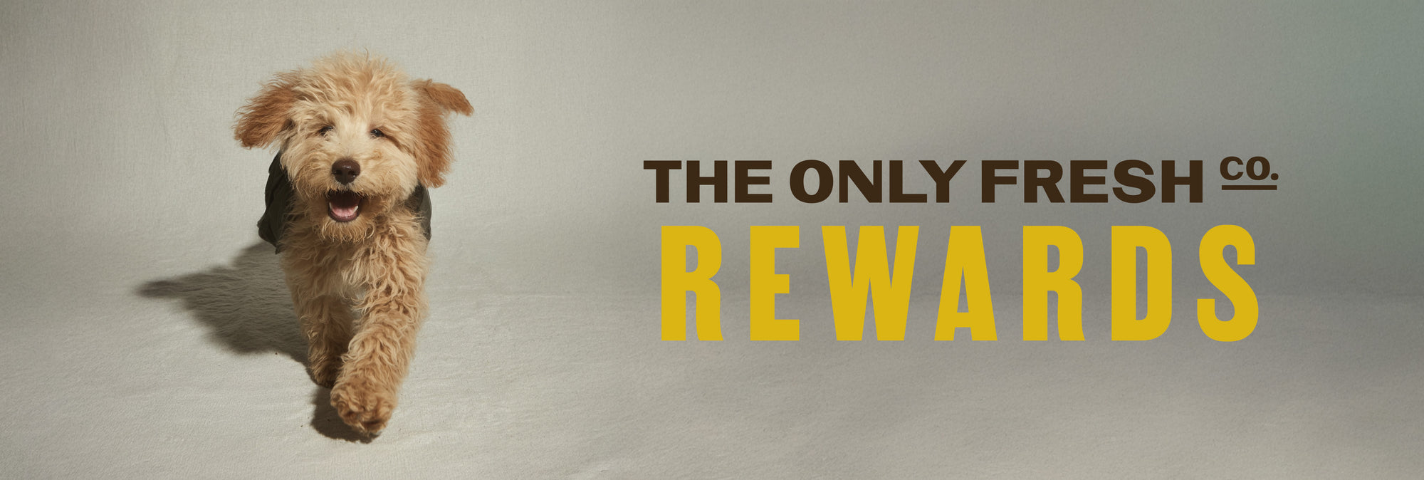 The Only Fresh Co. Rewards