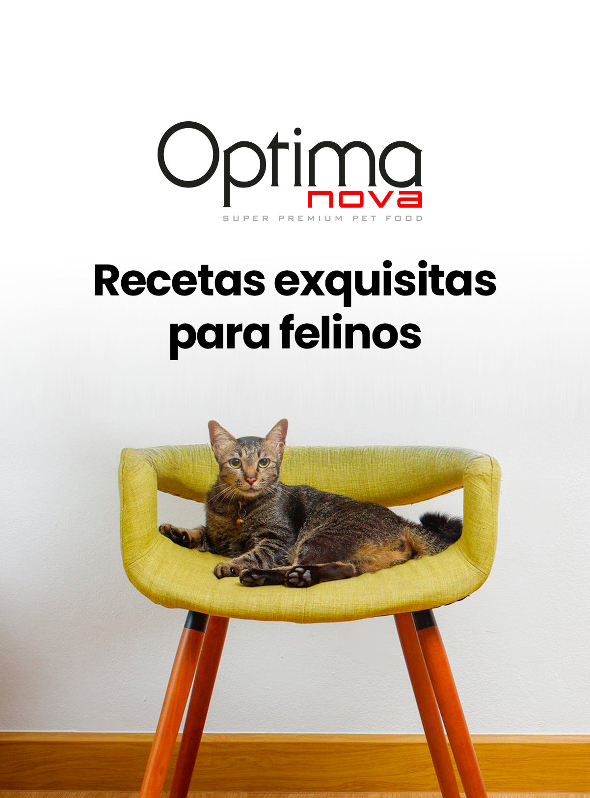 image-banner-mb