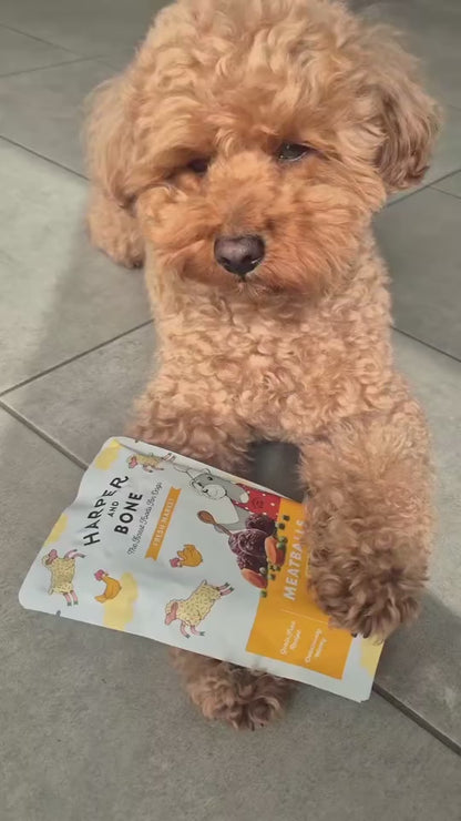 Almôndegas para cães - Fresh market