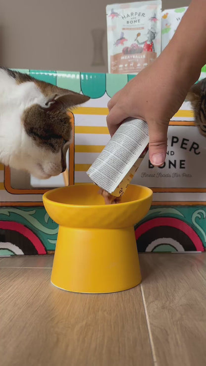 Fleischbällchen für Katzen - Ocean wonders