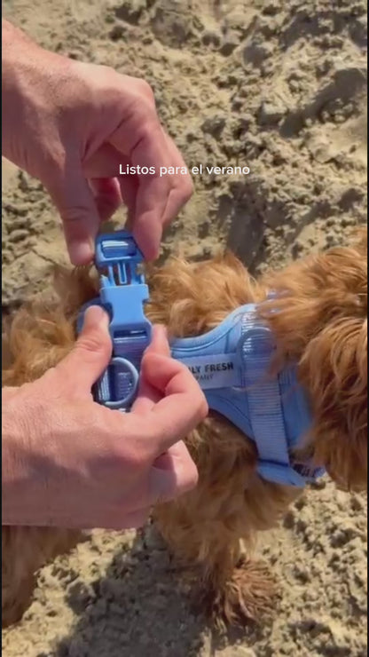 Smart Harness - Blu