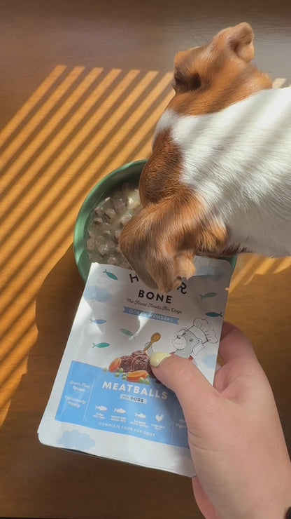 Boulettes pour chiens - Ocean wonders