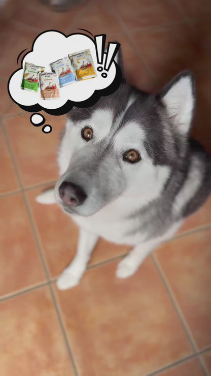 Polpette per cani – Wild Mountain