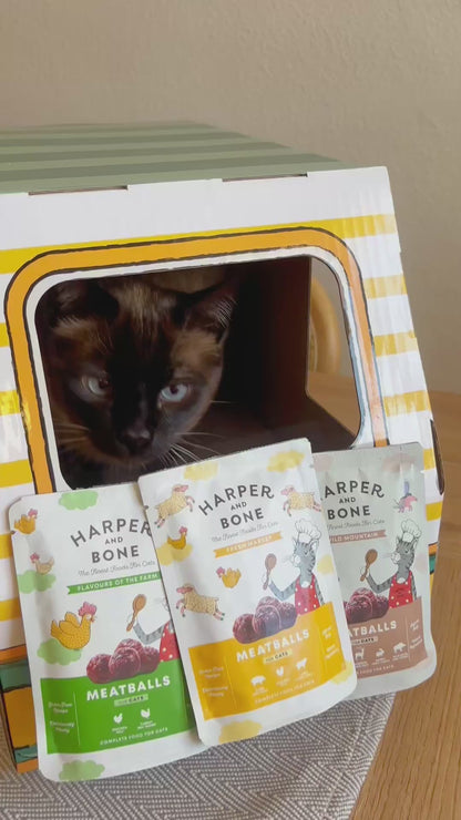 Gehaktballen voor katten - Wild mountain