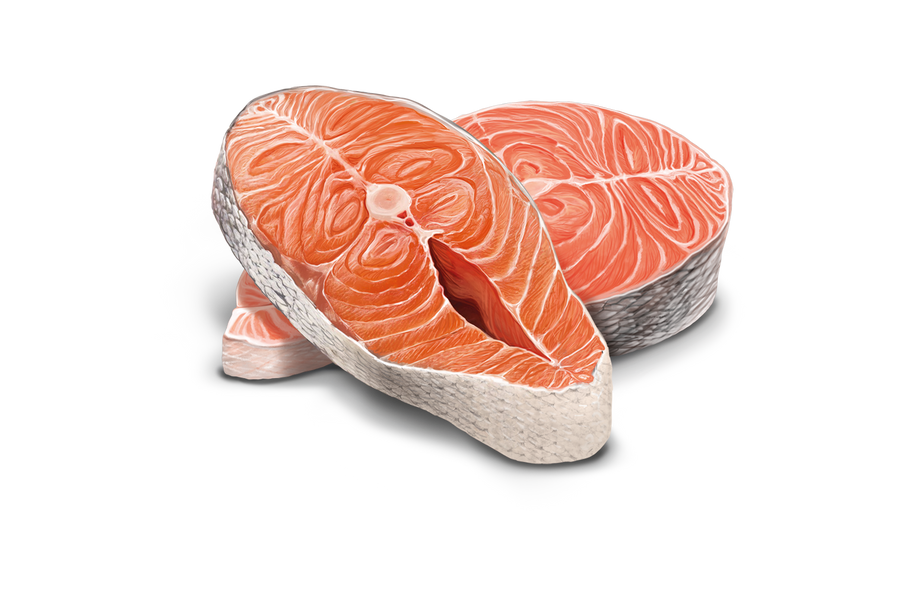Salmón fresco, fuente de Omega-3 de Trovet Plus