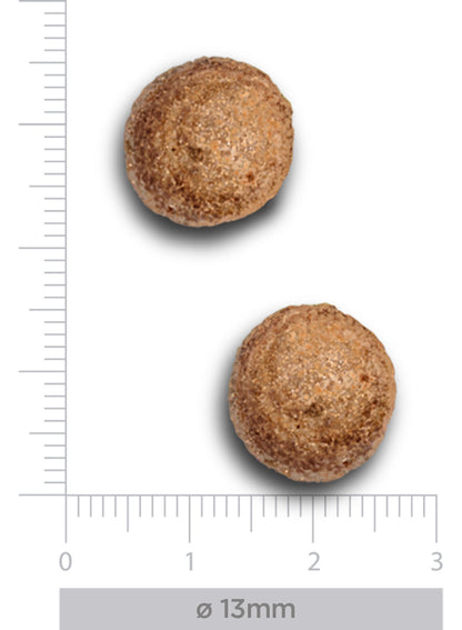 Dermal - Sec - Chien