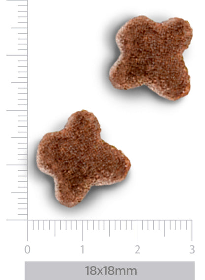 Hepatic - pour chiens