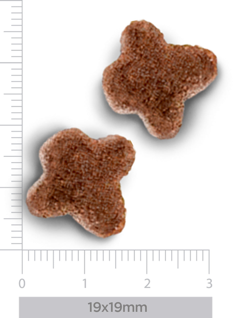 Hypoallergenic - Fresh lamb - for dogs