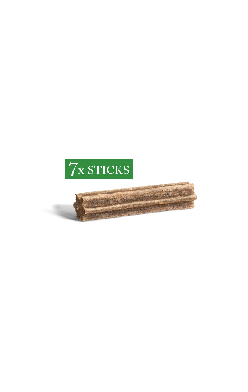 Dental Chews - Small
